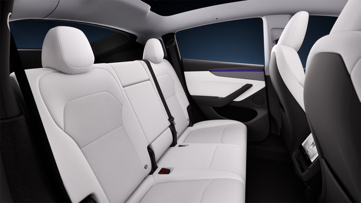 Midnight Train - 2025 Tesla Model Y