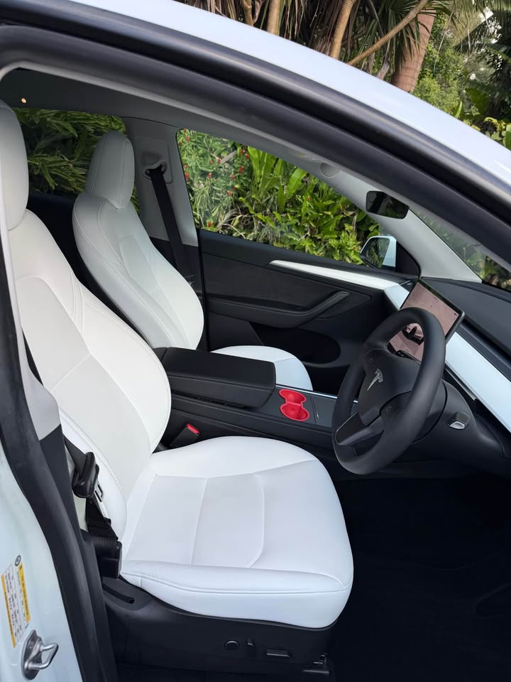 Big Poppa - 2022 Tesla Model Y