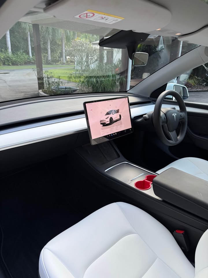 Big Poppa - 2022 Tesla Model Y