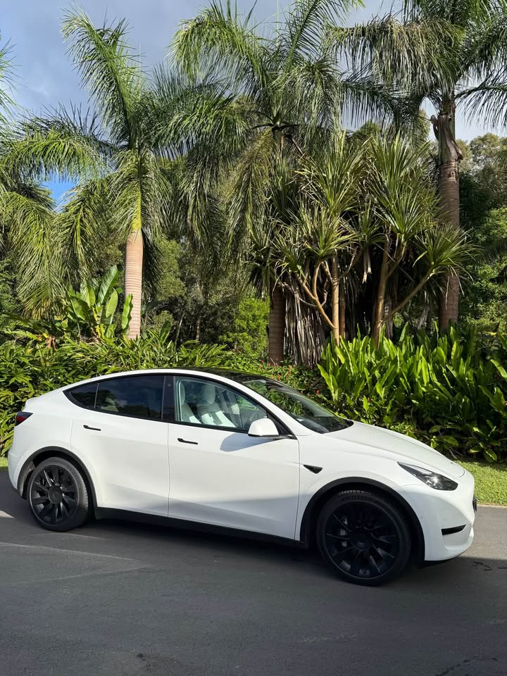 Big Poppa - 2022 Tesla Model Y